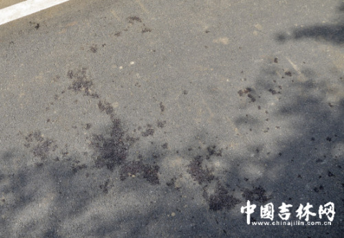 �����Œ��֭P1�j1�� �����k�j�g�����p�⨽�V��