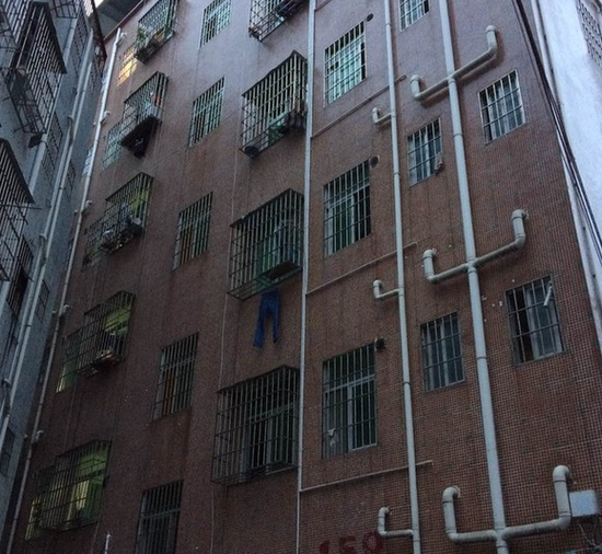 �B�Y�ò��P�y�Y159���[