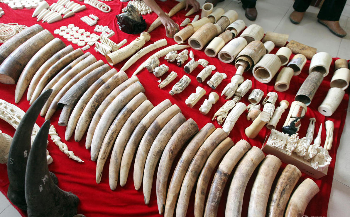 �e�h�}���v�ͯ��J������ �Ε\�]�a�_1200��