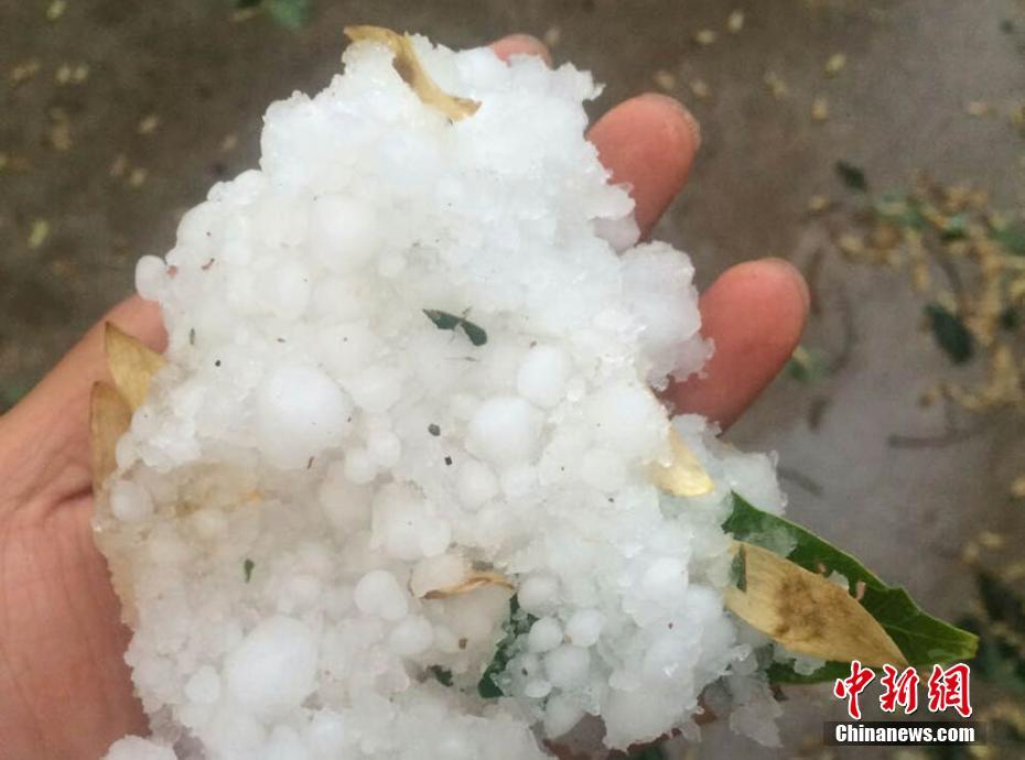 �̼w�Ԥ������r �H�ڥ������Õ[