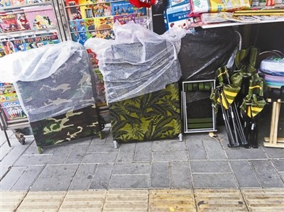 ���y���������|�F���̕��x�Աi �w�k�L�`�P�m���X��