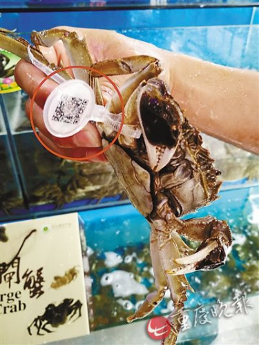 ���������h�X�̥��ն}����L��ê��������a�ڥ�