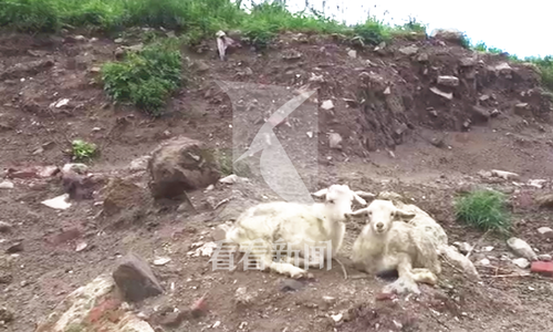 ���I�@���Y�j