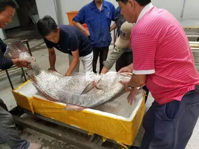 ���o�H�����Ւ����}��110���������W��(��)