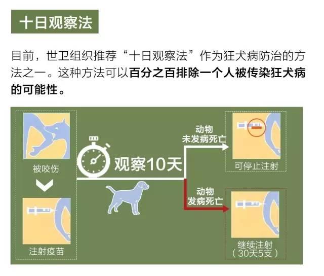 ��^�f�P�j�v�X��100%��ɵz�o�v�]�ŵ\�����f����