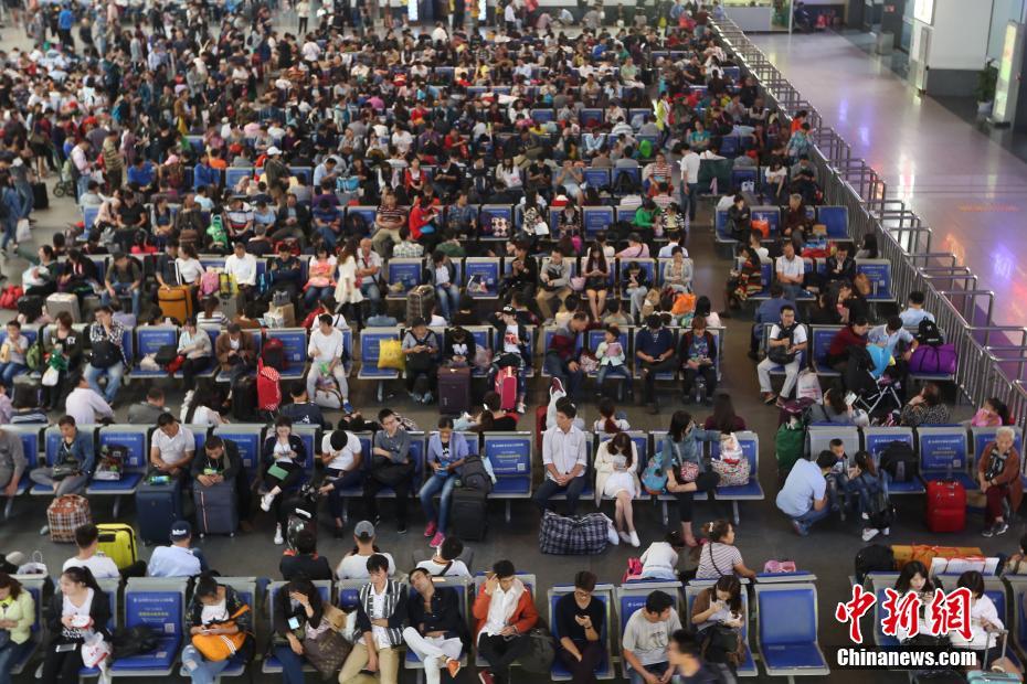 ���H�������{��yħ�p �q�b�W�o�V�˒�����