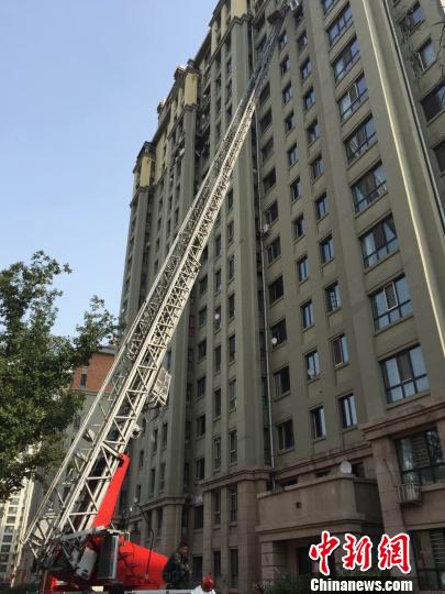 ���k�J�Ò�[��Ϳ����z�s�P3�j3�������Υ���i��