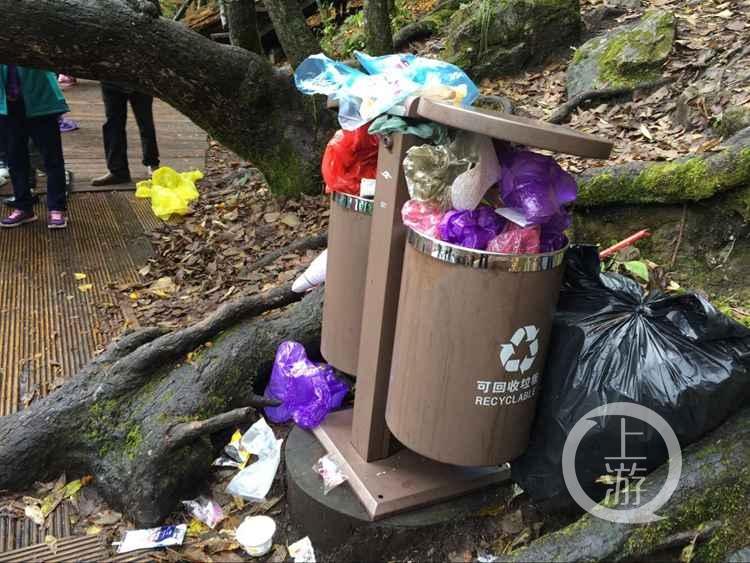 �ȻӪաJ�����W �綡���z��|