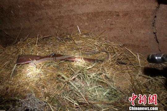 ǸonˮȩYj|Y եɨd裢