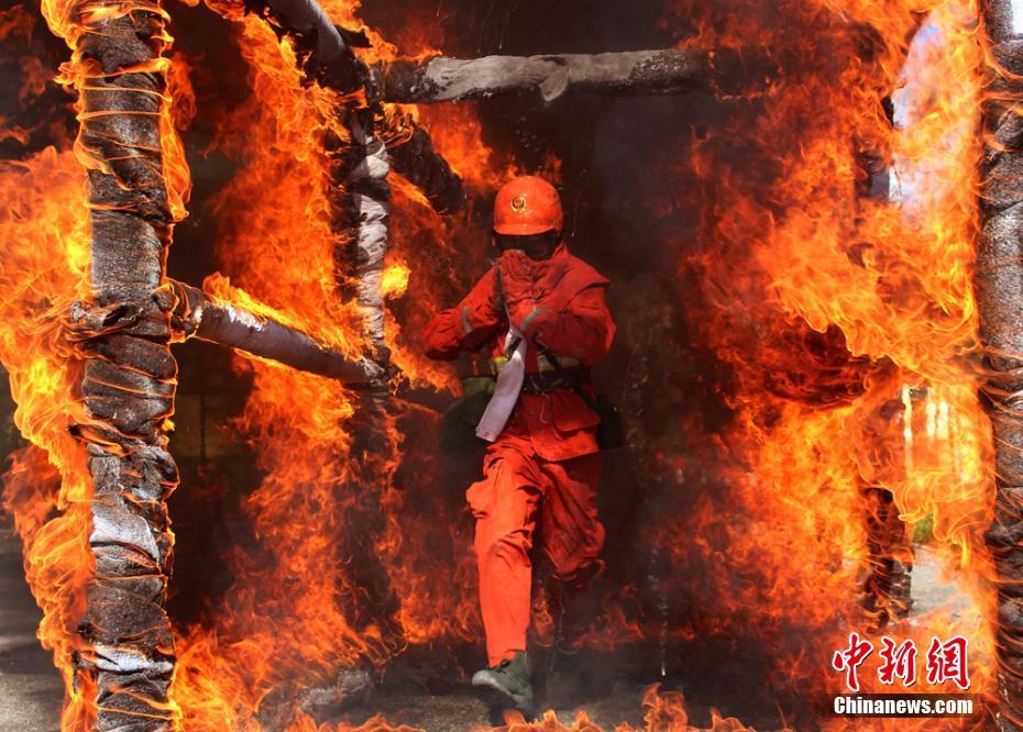 �̼w���d�t�s��è�m�����W��