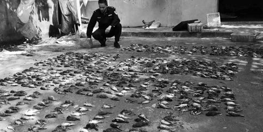 ���e�O���У����j��