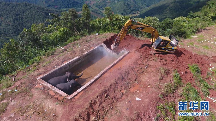 �L���V�����β����~�����\�ɳZ���U�ƳZ��f�ڪ�(����)