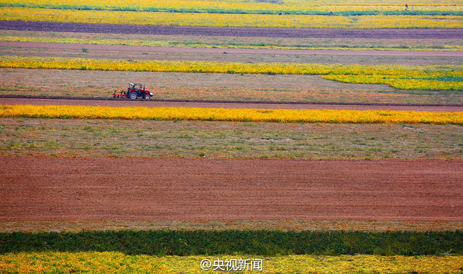 ���w�W�e�y�͔H�ۣO �L���ѵe�Y�������e��