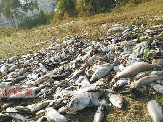 ���������Y�j���� �ƕg�ͣ���