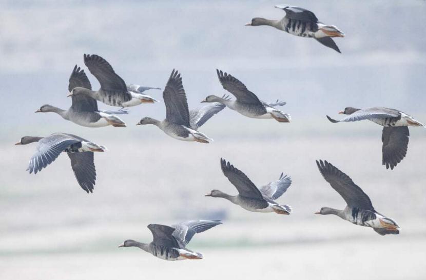 ���F!300�O������������^�ժF�E�e