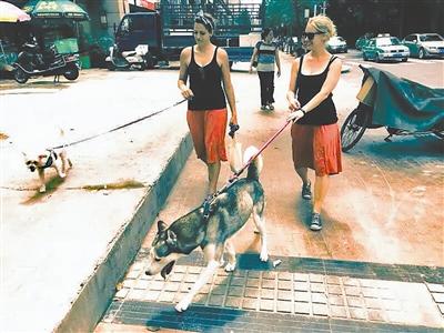 �K�`���L�v���N�� �âW���[þ���N�ã[100��