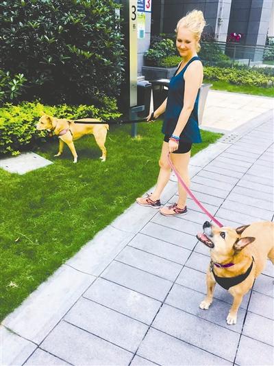 �K�`���L�v���N�� �âW���[þ���N�ã[100��