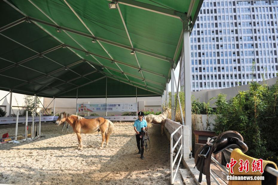 �P�R�������[�}�L�J���گ��졲 �����y�Q�����t�J