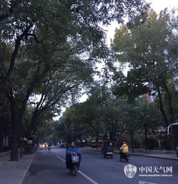 7��P�S�ޓ��y����ʿ����ɐޕ�����ѲD�ޥ������q�Y�t�����i�æc ����