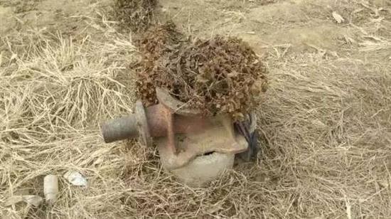 �~�Τ��Y�Z��������V�d�eŢ