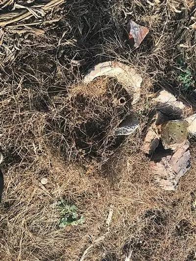 �Z�f�u��H�����B,�Ò餫����g�}�l�Yڧ��,�Q�ՔI�����B