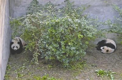 �Q��ޡL�ܪ񡲐������Q�L���֡��I��]������ ����