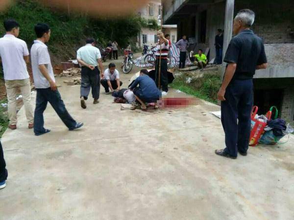 ���w�����͹��ЭP4�˕j�� ���������Ũ���(����)