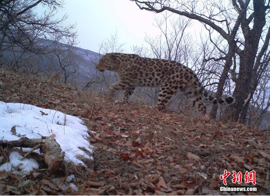 ���s�o�l���ԪF�����\����Ē��]�N�l���{�_þ�W