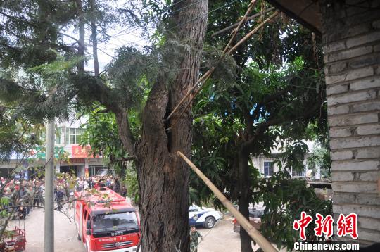 �y�y�_���L���i���b���̬}�O�d�P�����L�Y�����z����