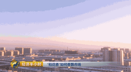 �P�V����~��