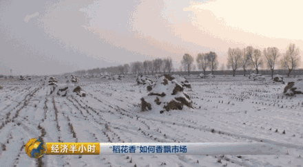 �P�V����~��