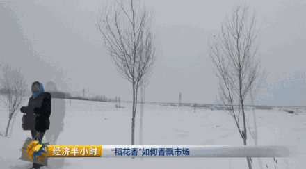 �P�V����~��