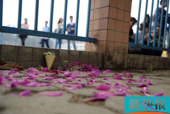 �}��V���\�N�����\�K�ߕ�ڹ�N���D��s�ּp�~�k �þr / ��