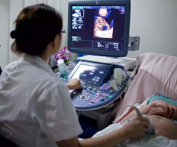 ���]�O�[�������͒خB��Q� ���g�E�w���|����