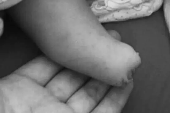 ���]�O�[�������͒خB��Q� ���g�E�w���|����