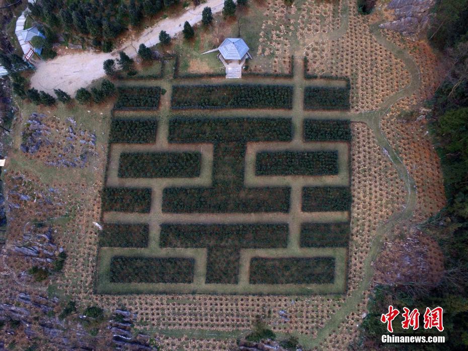 ������L�ġ����s�n