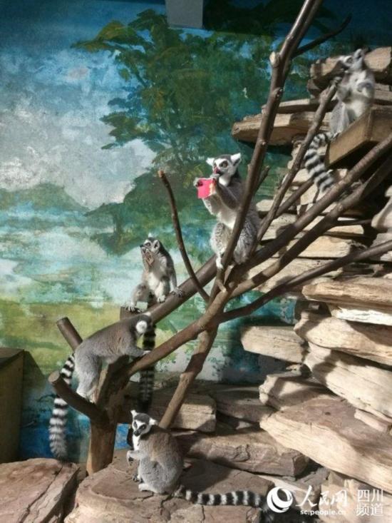 ���J�K�x��L�Փ������Y�ܕ����J���_�s ��