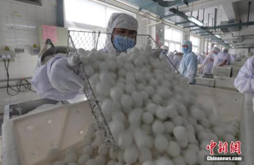 2017�e2��8��ޓ��y�������z�����ԥͬ����d�ޤ��d��m�g�|���त�s�_�~�k �k���} ��