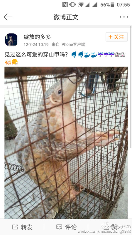 �I�͐䓯�R�Y�ϒ��Ҕ���Ԥߔ@��