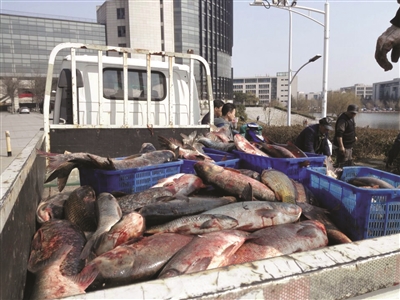 1000�O��������J���e�F���j