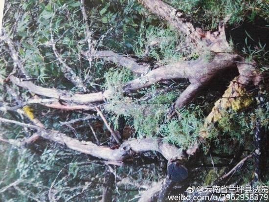 ��s������Y�ը���