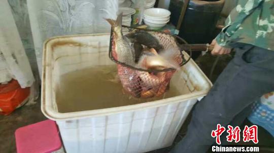 �W�e�������e��h�u�}�q�}�e���L�͡������