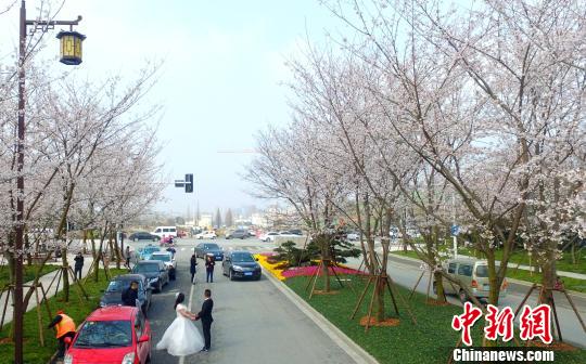 �ݔb�L�������ˡ������翰���C�����I�~�w�K�g�K�͒�