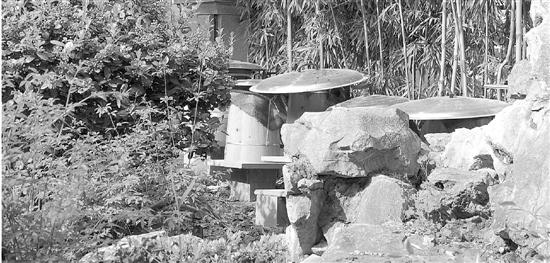 �h���Y�����