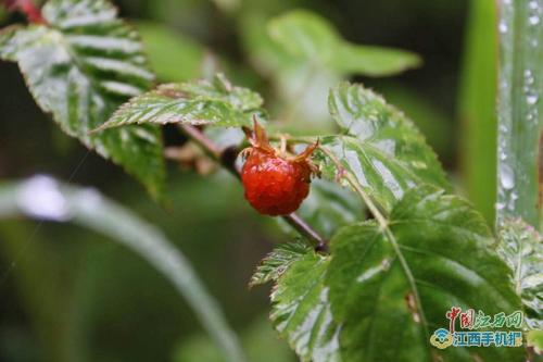 �^�šL�j�T�Y���B�ʳ��q�g�� �hä�I�C�o�w���~�k�¡L�̒ˡ�