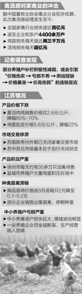 �ץʐ�i�y��