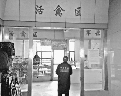 �o�v�h�y���tҧ�϶T���줺�Y�_����N�[���_������`���ԶW��