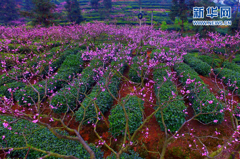 ���I�дC�y���r����n���r�� �ծo����ħ������������