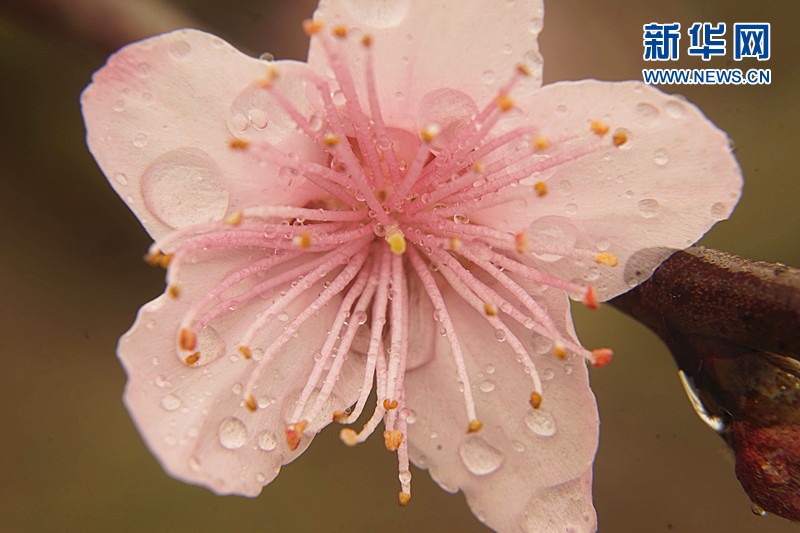 ���I�дC�y���r����n���r�� �ծo����ħ������������