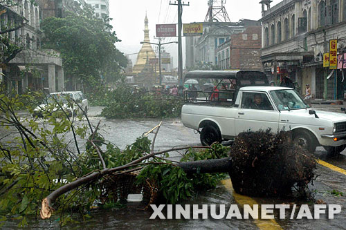 5��3��ޔI�����{���ϥ����d���������J�Y�̤�������˹j��q��q����4��������2�����J�����Y�S�j���u����NARGIS���y�K����240�O�˨��͐� �s�a�_/�u�s